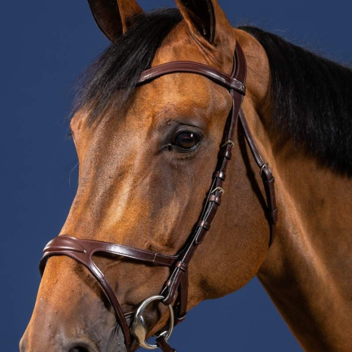 Hoofdstel X-Fit Anatomische New English Collection Bruin in de groep Paardenuitrusting / Hoofdstellen & Frontriemen / Hoofdstel bij Equinest (NECCCDBr_r)