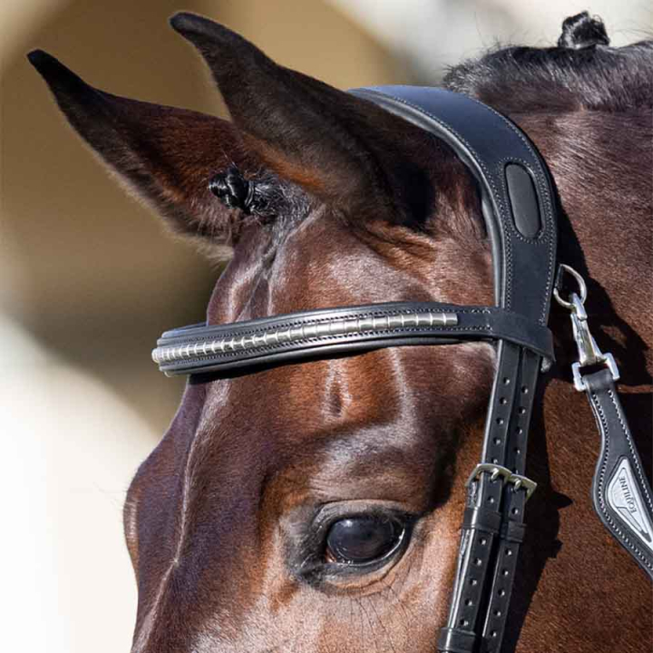 Frontriem Klinker Zwart/Zilver in de groep Paardenuitrusting / Hoofdstellen & Frontriemen / Frontriemen bij Equinest (SC013PBB0424BA)
