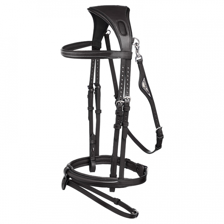 Hoofdstel Ready To Ride Zwart in de groep Paardenuitrusting / Hoofdstellen & Frontriemen / Hoofdstel bij Equinest (SC013PBJ300BA)