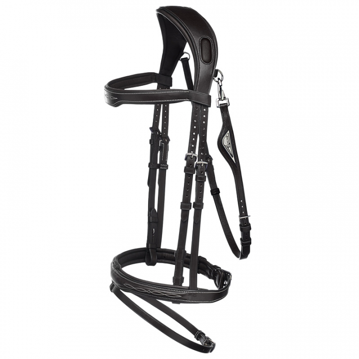 Hoofdstel Ready To Ride met Patroonstiksel Zwart in de groep Paardenuitrusting / Hoofdstellen & Frontriemen / Hoofdstel bij Equinest (SC013PBJ301BA)