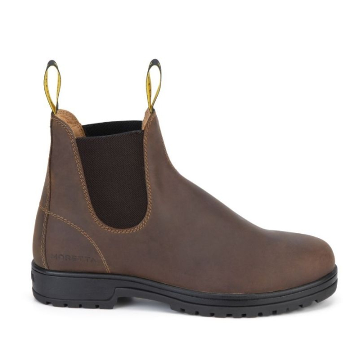 Stalschoenen Ettore Bruin in de groep Schoenen, Laarzen & Chaps / Schoenen bij Equinest (SH112040BR_r)