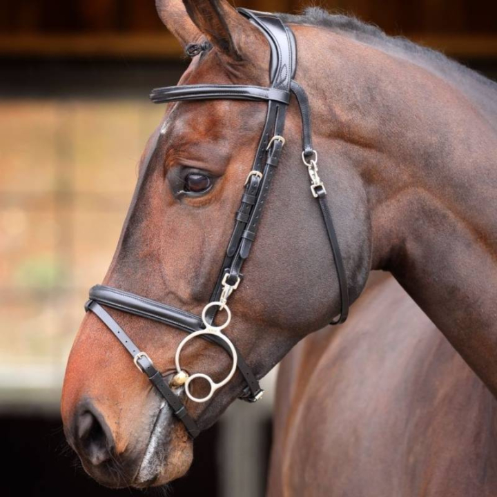 Hoofdstel Quick Release Rapida Zwart in de groep Paardenuitrusting / Hoofdstellen & Frontriemen / Hoofdstel bij Equinest (SH512501BA_r)