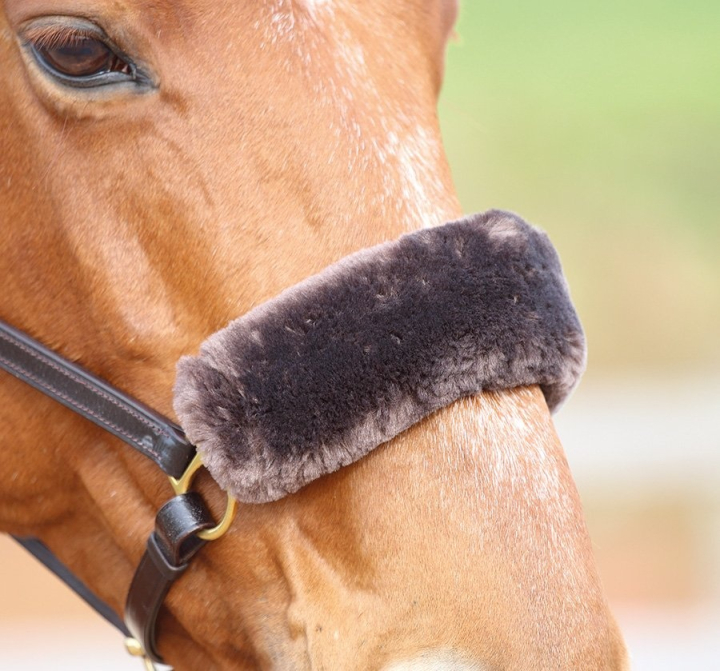 Neusbeschermer in Fleece Bruin in de groep Paardenuitrusting / Hoofdstellen & Frontriemen / Neuspluis & Nevelpluis bij Equinest (SH5243BR)