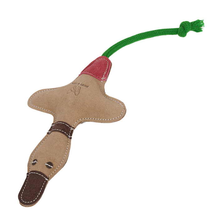 Hondenspeeltje Eend Touw Natuur/Rood/Groen in de groep Hond / Hondenspeelgoed / Kauwspeelgoed & Bijtspeelgoed bij Equinest (SH6916NTREGN)