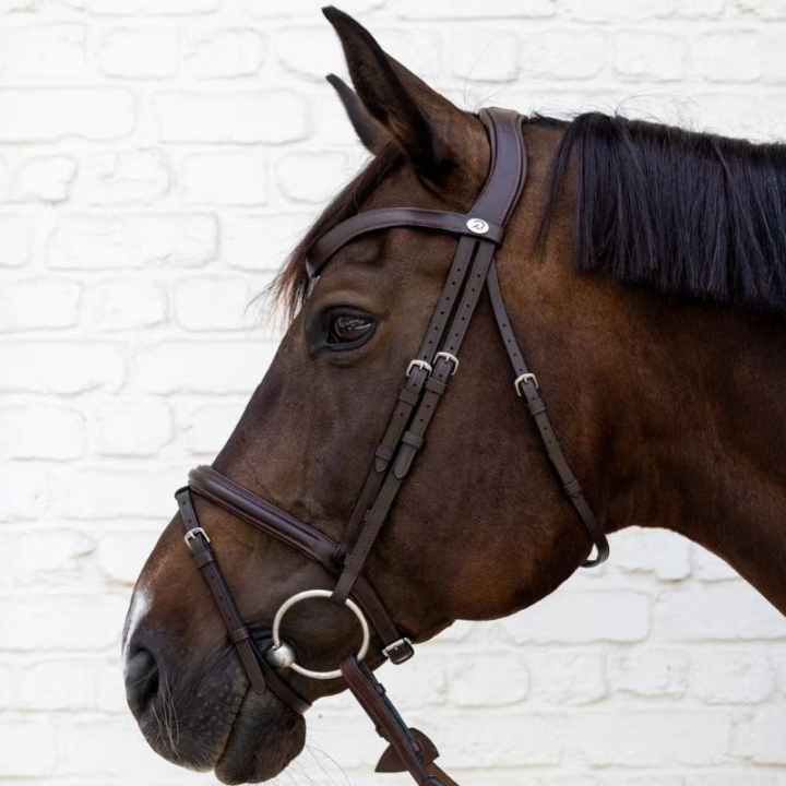 Hoofdstel Gecombineerde Neusriem Soft Collection Bruin in de groep Paardenuitrusting / Hoofdstellen & Frontriemen / Hoofdstel bij Equinest (SO1000105BR_r)