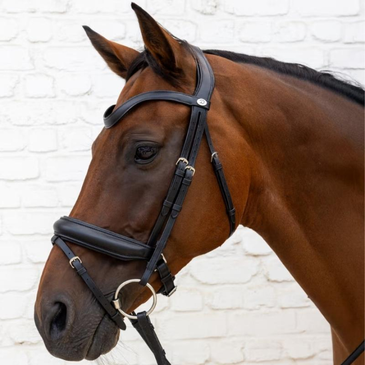 Dressuurhoofdstel Medium Neusriem Soft Collection Zwart in de groep Paardenuitrusting / Hoofdstellen & Frontriemen / Kandare & Dressuurhoofdstel bij Equinest (SO1000201BA_r)