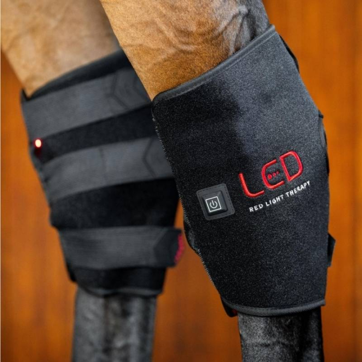 Therapiebeschermers Spronggewricht LED Red Light Therapy  in de groep Paardenverzorging en Verzorging / Massage & Bloedcirculatie bij Equinest (TLHHT1KK0BA_r)