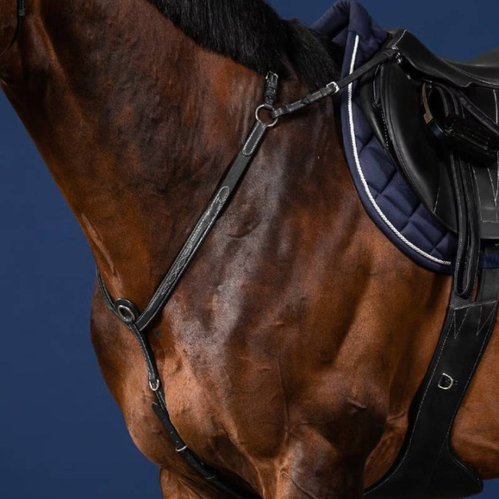 Borsttuig met Brug US Collection Zwart in de groep Paardenuitrusting / Martingaal & Borsttuig / Borsttuig bij Equinest (US06DBLCBA_r)