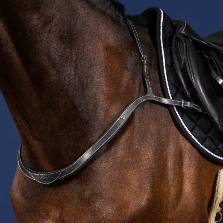 Borsttuig Collar US Collection Zwart in de groep Paardenuitrusting / Martingaal & Borsttuig / Borsttuig bij Equinest (US06EBLCBA_r)