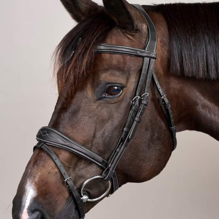 Anatomisch Hoofdstel Gecombineerde Neusriem US Collection Zwart in de groep Paardenuitrusting / Hoofdstellen & Frontriemen / Hoofdstel bij Equinest (USABABBLCBA_r)