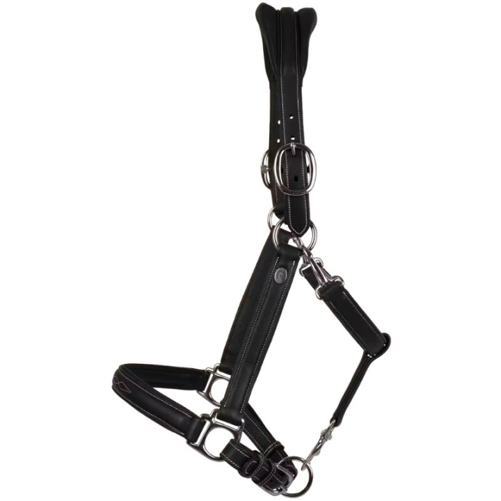 Leren Halster 2-in-1 Working Collection Zwart in de groep Paardenuitrusting / Halsters / Leren Halsters bij Equinest (WO09ASv_r)