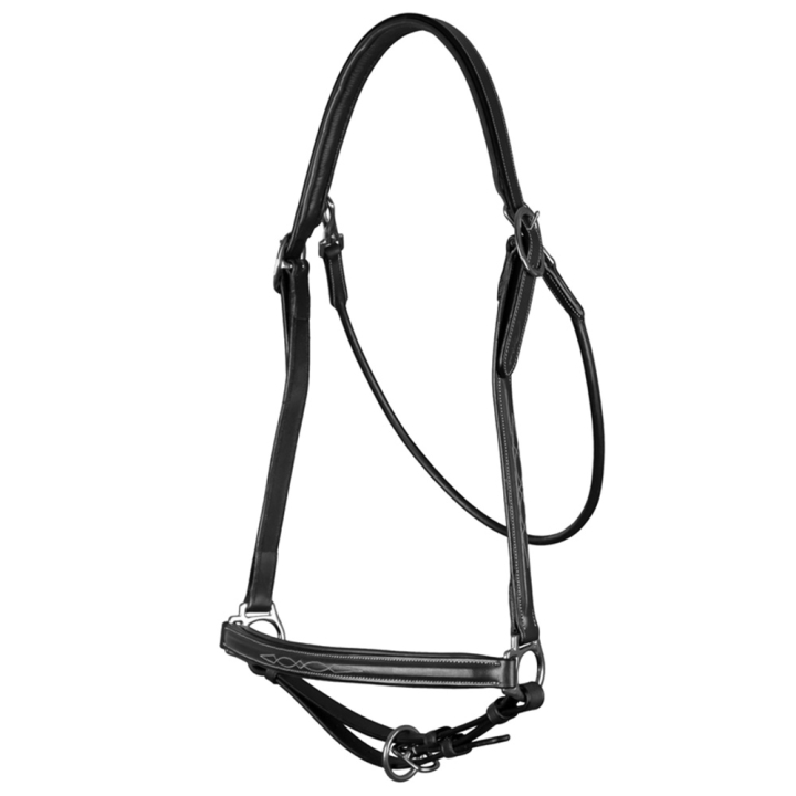Verzorgingshalster Leather WBD Zwart in de groep Paardenuitrusting / Halsters / Leren Halsters bij Equinest (WO09BBLCBA_r)