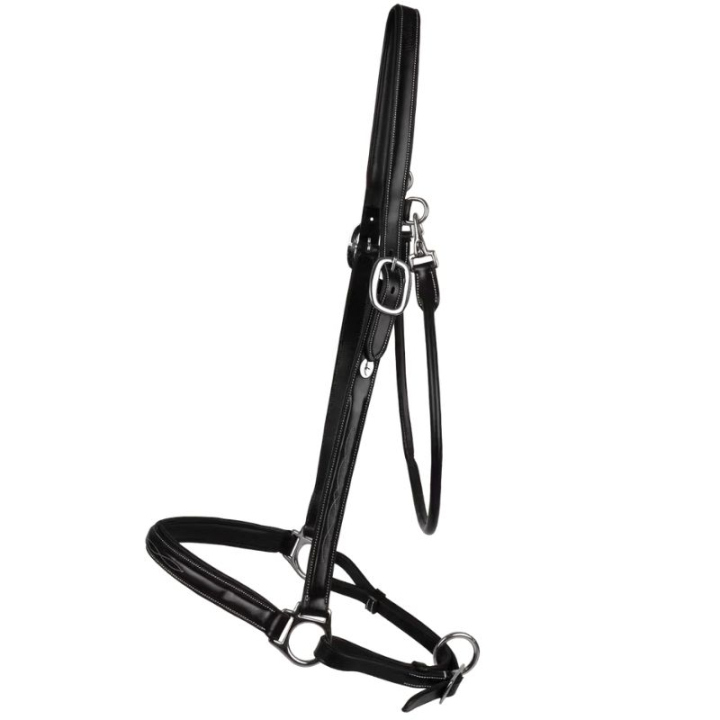 Verzorgingshalster Leather WBD Zwart in de groep Paardenuitrusting / Halsters / Leren Halsters bij Equinest (WO09BBLCBA_r)
