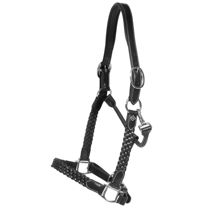 Leren halster Plaited WBD Zwart in de groep Paardenuitrusting / Halsters / Leren Halsters bij Equinest (WO09DBLCBA_r)