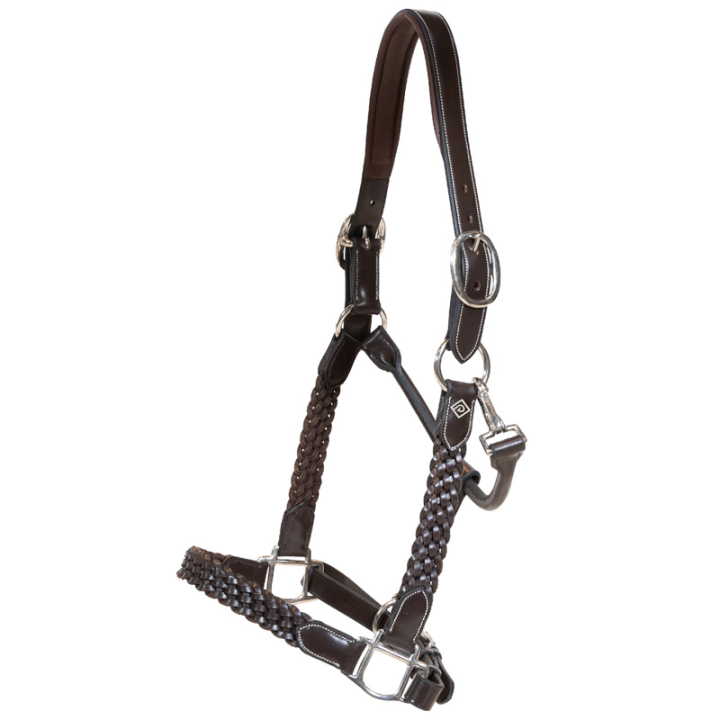 Leren halster Plaited WBD Bruin in de groep Paardenuitrusting / Halsters / Leren Halsters bij Equinest (WO09DBRCBR_r)