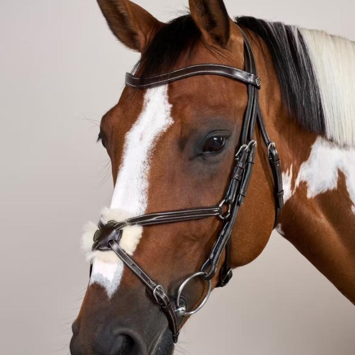 Hoofdstel Mexicaanse Neusriem WC Bruin in de groep Paardenuitrusting / Hoofdstellen & Frontriemen / Hoofdstel bij Equinest (WOAQHCBr_r)
