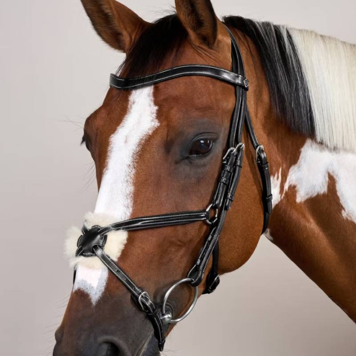 Hoofdstel Mexicaanse Neusriem WC Zwart in de groep Paardenuitrusting / Hoofdstellen & Frontriemen / Hoofdstel bij Equinest (WOAQHCSv_r)