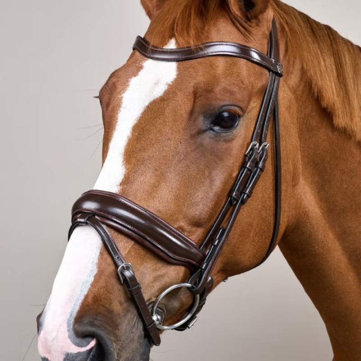Dressuurhoofdstel Mat Working Collection Bruin in de groep Paardenuitrusting / Hoofdstellen & Frontriemen / Kandare & Dressuurhoofdstel bij Equinest (WODCAMBRCBR_r)