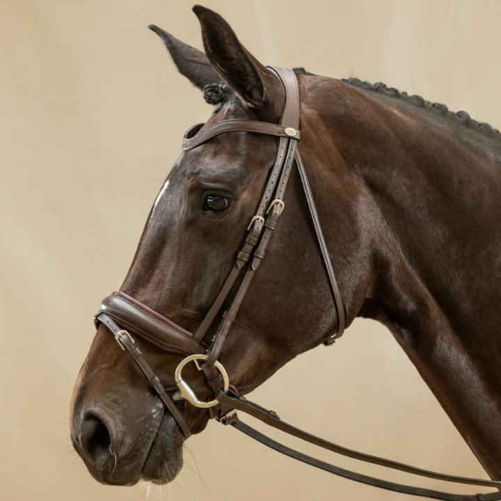 Dressuurhoofdstel Mat Working Collection Bruin in de groep Paardenuitrusting / Hoofdstellen & Frontriemen / Kandare & Dressuurhoofdstel bij Equinest (WODCAMBRCBR_r)