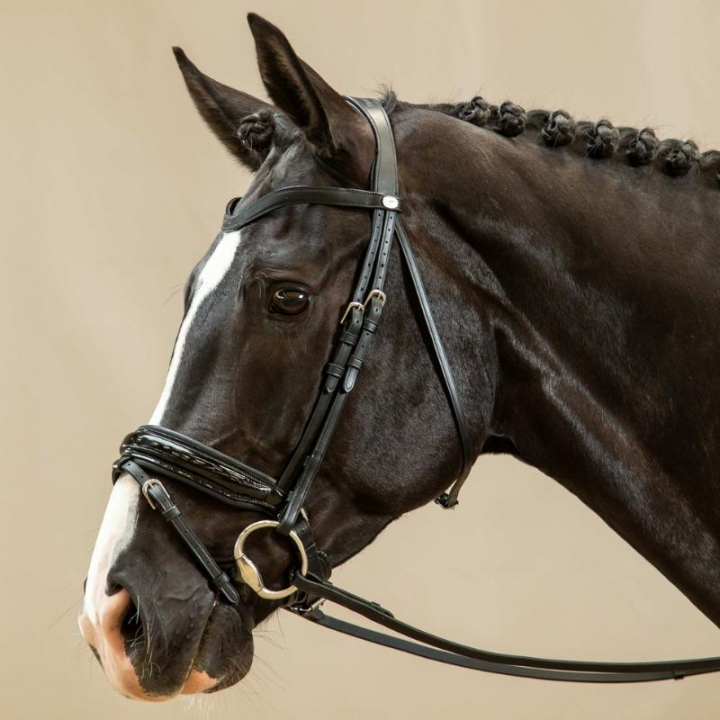 Dressuurhoofdstel Lak Working Collection Zwart in de groep Paardenuitrusting / Hoofdstellen & Frontriemen / Kandare & Dressuurhoofdstel bij Equinest (WODCANSv_r)