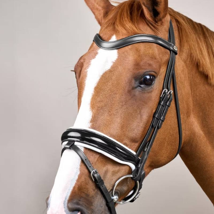 Dressuurhoofdstel Lak/Met Wit Gevoerd WC Zwart in de groep Paardenuitrusting / Hoofdstellen & Frontriemen / Kandare & Dressuurhoofdstel bij Equinest (WODCAOSv_r)