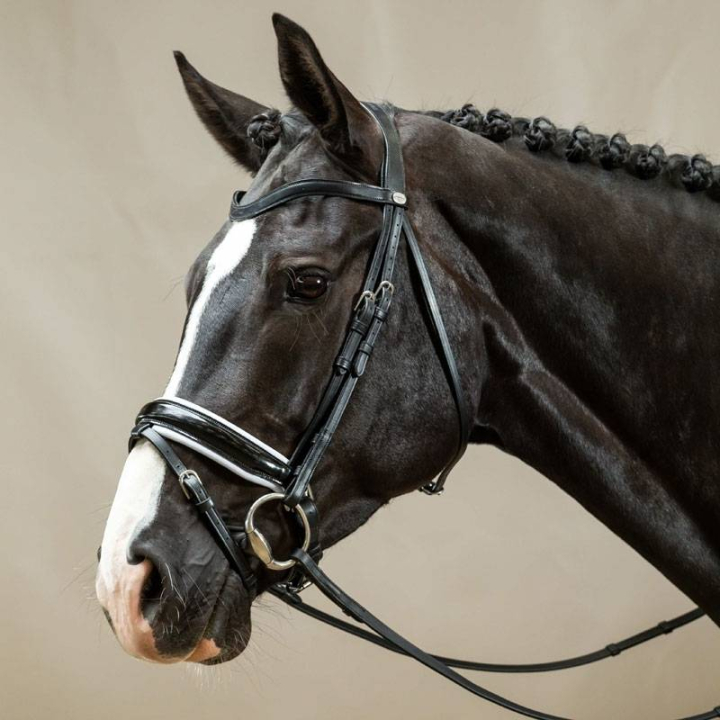 Dressuurhoofdstel Working Collection Zwart/Wit in de groep Paardenuitrusting / Hoofdstellen & Frontriemen / Kandare & Dressuurhoofdstel bij Equinest (WODCAOSv_r)