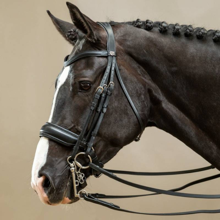 Kandarhoofdstel Mat Working Collection Zwart in de groep Paardenuitrusting / Hoofdstellen & Frontriemen / Kandare & Dressuurhoofdstel bij Equinest (WOECARSv_r)