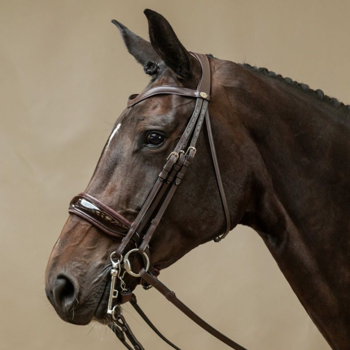 Kandarhoofdstel Lak Working Collection Bruin in de groep Paardenuitrusting / Hoofdstellen & Frontriemen / Kandare & Dressuurhoofdstel bij Equinest (WOECASBRCBR_r)