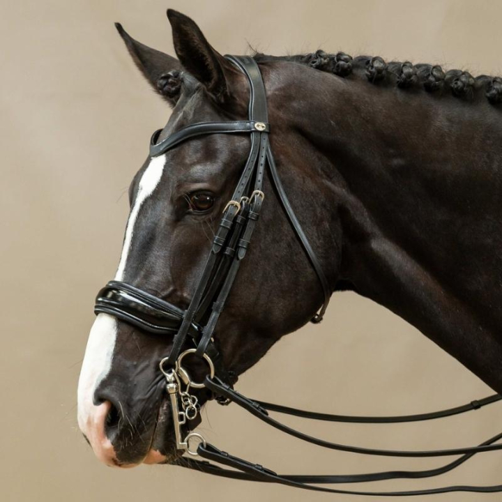 Kandarhoofdstel Lak Working Collection Zwart in de groep Paardenuitrusting / Hoofdstellen & Frontriemen / Kandare & Dressuurhoofdstel bij Equinest (WOECASSv_r)