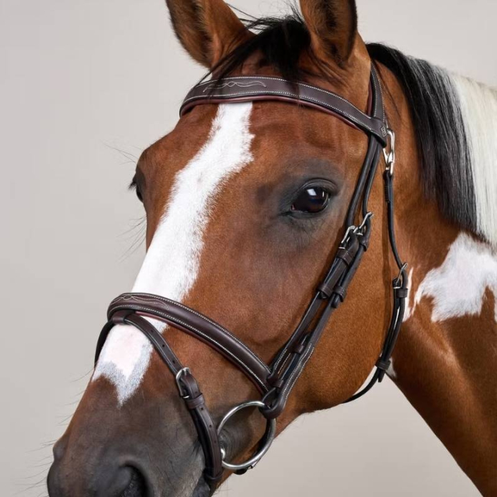 Hoofdstel Gecombineerde Neusriem WC Bruin in de groep Paardenuitrusting / Hoofdstellen & Frontriemen / Hoofdstel bij Equinest (WOJBHABr_r)