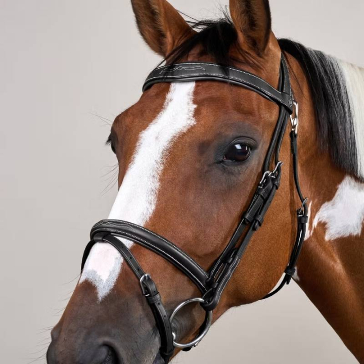 Hoofdstel Gecombineerde Neusriem WC Zwart in de groep Paardenuitrusting / Hoofdstellen & Frontriemen / Hoofdstel bij Equinest (WOJBHASv_r)