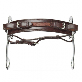 Hackamore Bruin