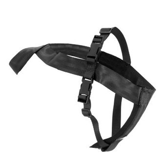 Autogordel voor honden