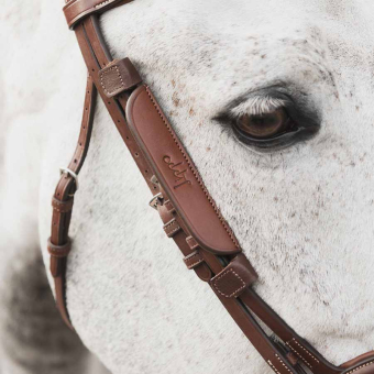 Blinkers Supreme Oak Bark