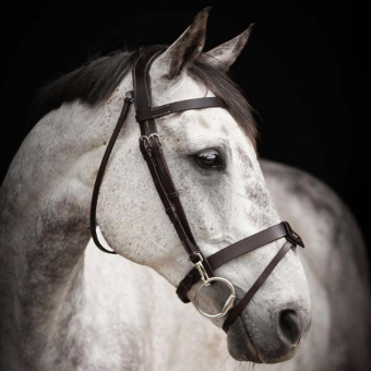 Bidsel Trainer Basic Donkerbruin