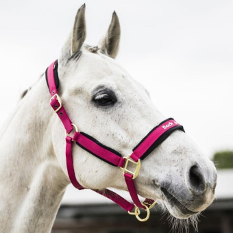Halster Werano Roze