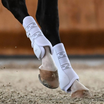 Dressuur beenbeschermers Absolute Rear Elastic Wit