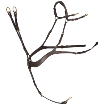 Anatomisch Voorbieg met Martingal Chocolate/Goud