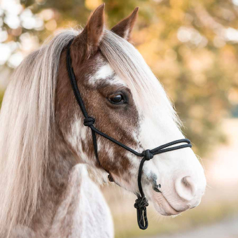 Touwhalster Polypropylene Zwart