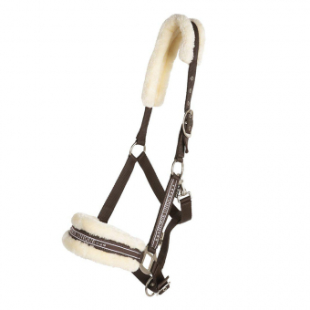 Hoofdstel met Bont Bruin/Natuur