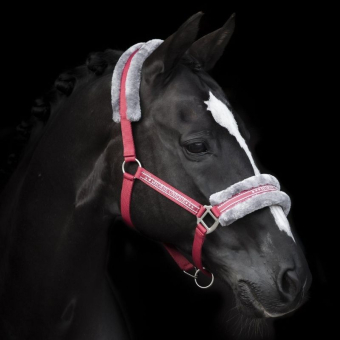 Halster met Fleece Rood/Grijs