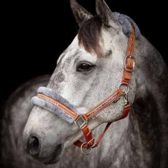 Halster met Fleece Oranje/Grijs