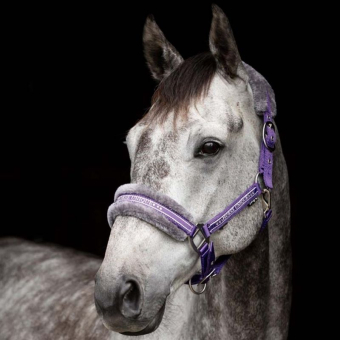 Halster met Fleece Paars/Grijs