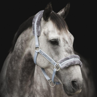 Halster met Fleece Lichtblauw/Grijs
