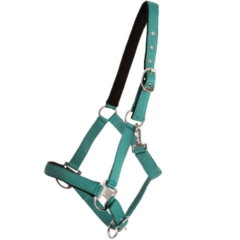 Halster Double Buckle Turkoois