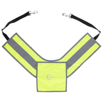 Borst Highly Reflective Geel