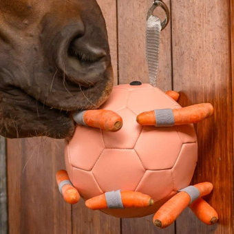 Paardenspeelgoed Carrot Ball Roze
