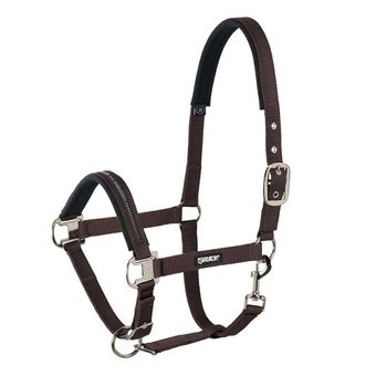 Halster Pin Buckle Bruin