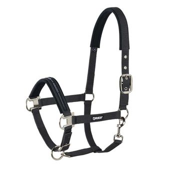 Halster Pin Buckle Zwart