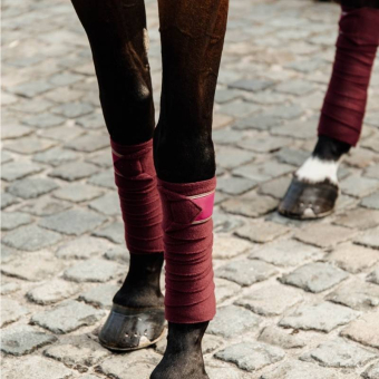 Bandages Polar Fleece 4-pack Bordeaux